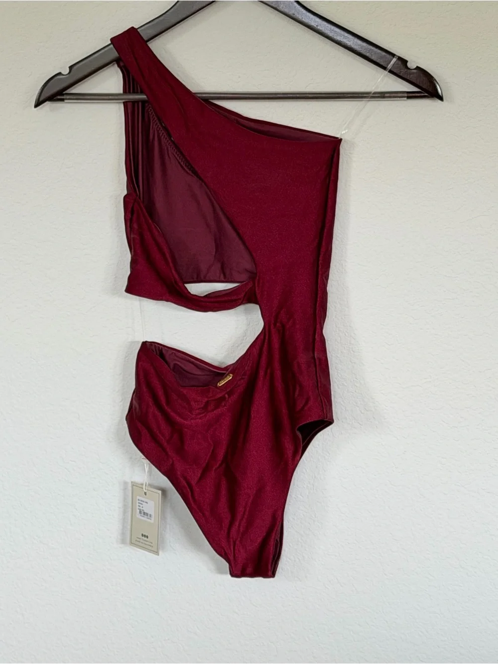 Etro Asymmetric Cutout One-Piece Swimsuit in Wine Red